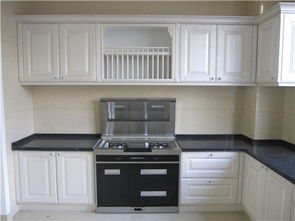 年度集成灶排行榜Top 綠色環保廚具品牌推薦