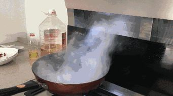 森歌集成灶萬(wàn)人廠購(gòu)節(jié),好產(chǎn)品經(jīng)得起體驗(yàn)