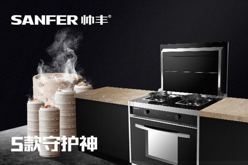 環保集成灶廠家帥豐告訴你 什么是 廚電一體化